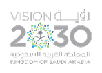 saudi arabia vision 2030 image